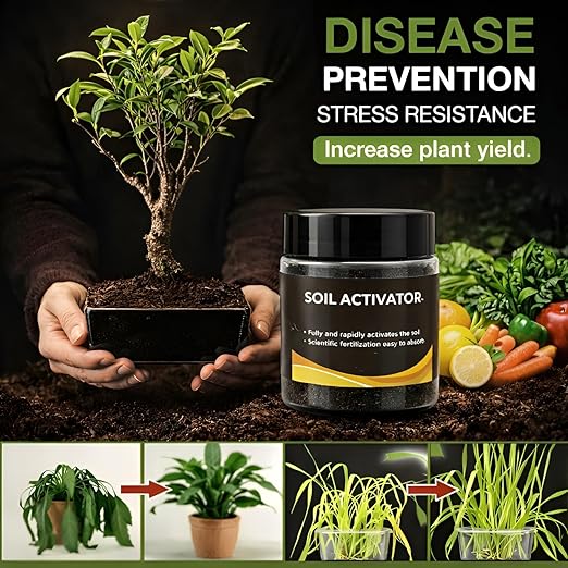 Soil Activator for Plants (Pack of 2)