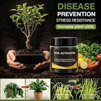 Soil Activator for Plants (Pack of 2)