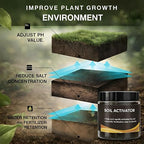 Soil Activator for Plants (Pack of 2)